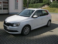 Bild des Angebotes Skoda Fabia Cool Edition
