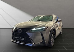 Bild des Angebotes Lexus UX 250h 250H*STYLE*1HD* 15J-GARANTIE