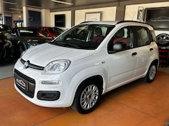 Bild des Angebotes Fiat Panda My Panda 1.HAND/KLIMA/MEDIA-IN