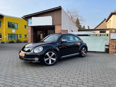 Bild des Angebotes VW Beetle Fender Edition - Sitzh. - Automatik !!!