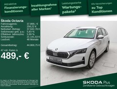 Bild des Angebotes Skoda Octavia Combi Selection 1.5 TFSI DSG*LED*APP*AHZ