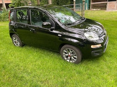 Bild des Angebotes Fiat Panda Panda/Pandina 1.2 Lounge