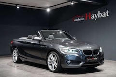 Bild des Angebotes BMW 228 i Cabrio Aut. BiXenon-Navi-Leder-HiFi