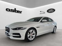 Jaguar XE P250 S |HIFI|Kamera|Leder|LED|Tempomat|PDC
