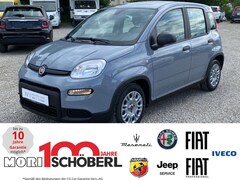 Bild des Angebotes Fiat Panda MY23 Hybrid 1.0 GSE