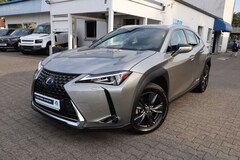 Bild des Angebotes Lexus UX 250h UX 250h Executive Line|NAVIGATION|LEDER|R-CAM|
