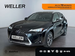 Bild des Angebotes Lexus UX 250h Style Edition *Bi-LED*ACC*CAM*SHZ*CarPlay*