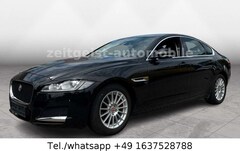 Bild des Angebotes Jaguar XF 2.0d*LEDER*TÜV & SERVICE NEU*