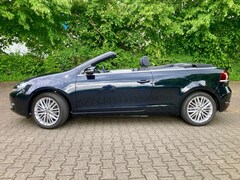 Bild des Angebotes VW Golf Cabriolet Golf Cabrio 1.2 TSI Cup