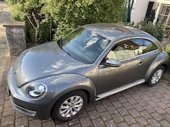 Bild des Angebotes VW Beetle Design BMT