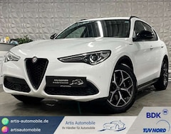 Bild des Angebotes Alfa Romeo Stelvio Q4 *NAVI*HARMAN/KARDON*KAMERA