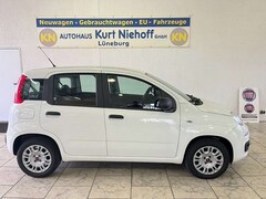 Bild des Angebotes Fiat Panda Easy +Klima +ZV +Original-Radio