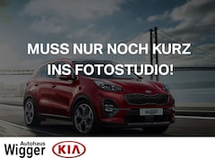 Bild des Angebotes Kia Sorento Platinum 4WD 2.2 CRDi/AHK/Panorama/ACC