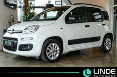 Bild des Angebotes Fiat Panda More |KLIMA|U-CONNECT|PDC|SHZ|14 ALU