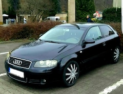 Bild des Angebotes Audi A3 A3 1.6 FSI S Line/Klimaaut./eFH /Sportauspuff/SpFW