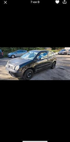 Bild des Angebotes VW Polo Cricket