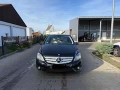 Bild des Angebotes Mercedes-Benz B 250 B 250 4MATIC Standheiz Kamera