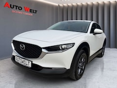 Bild des Angebotes Mazda CX-30 Prime-Line 1.Hand,Navi,Kamera,HUD,8-fach