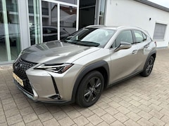 Bild des Angebotes Lexus UX 200 Automatik Launch Edition