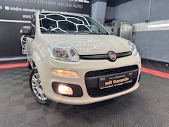 Bild des Angebotes Fiat Panda Easy.1 HAND.1.2 L.KLIMA.TÜV NEU