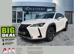 Bild des Angebotes Lexus UX 250h AHK*KAM*DAB*SHZ