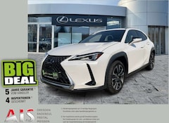 Bild des Angebotes Lexus UX 250h AHK*KAM*DAB*SHZ