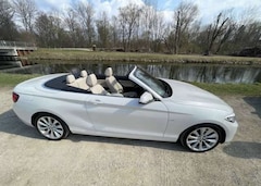 Bild des Angebotes BMW 228 228i Cabrio Aut.Luxury Line