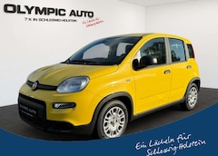 Bild des Angebotes Fiat Panda 1.0 GSE Hybrid PARKSENSOREN KLIMA GRA DAB
