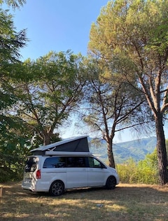 Bild des Angebotes Mercedes-Benz Marco Polo 220/250 d EDITION 4MATIC (447.813)