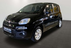 Bild des Angebotes Fiat Panda 1.2 Young 69cv