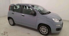 Bild des Angebotes Fiat Panda Panda III 20211.0 firefly hybrid City Life s