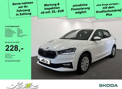 Bild des Angebotes Skoda Fabia 1.0 TSI Selection *APPCON*LED*WINTERPAKET*