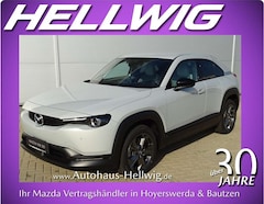Bild des Angebotes Mazda MX-30 e-SKYACTIV EV Advantage Industrial Vintage Matrix-