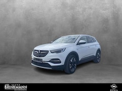 Bild des Angebotes Opel Grandland Grandland X 1.2 Turbo INNOVATION (EURO 6d-TEMP)