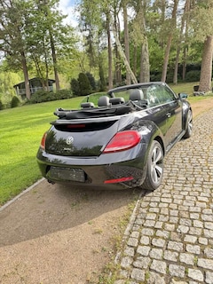 Bild des Angebotes VW Beetle Allstar BMT