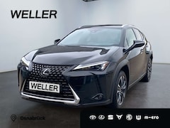 Bild des Angebotes Lexus UX 250h Style Edition *Bi-LED*ACC*CAM*SHZ*CarPlay*