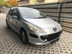 Bild des Angebotes Peugeot 307 Grand Filou Cool