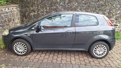 Bild des Angebotes Fiat Punto 1.2 8V Classic