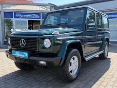 Bild des Angebotes Mercedes-Benz G 270 Andraditgrün Standhzg. Vollleder NAVI AHK