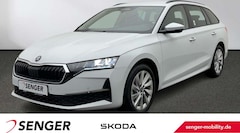 Skoda Octavia Combi 2.0TDI Selection Design-Paket Loft