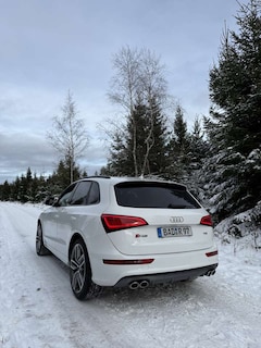 Bild des Angebotes Audi SQ5 3.0 TDI competition Scheckheftgepflegt