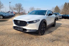 Bild des Angebotes Mazda CX-30 Homura 2WD SKYACTIV-G*HUD*LMF*360°Cam*Top*