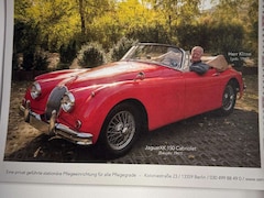 Bild des Angebotes Jaguar XK Cabrio