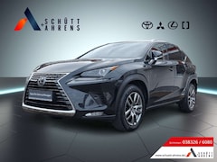 Bild des Angebotes Lexus NX 300h E-Four Executive DAB, Dachreling, Dynamisches Kurv