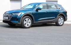 Bild des Angebotes Audi e-tron 50 quattro basis