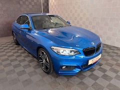 Bild des Angebotes BMW 230 i Coupe*M SPORT*AHK-H&K-ACC-MEMORY-LED-PDC-18