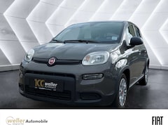 Bild des Angebotes Fiat Panda 1.0 Mild-Hybrid Klimaautomatik Bluetooth Kopfairba