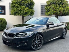 Bild des Angebotes BMW 225 d Cabrio*M-SPORTPAKET*19-PERFORMANCE*DKG