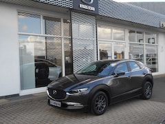 Bild des Angebotes Mazda CX-30 2.0l 150PS SELECTION #HUD#NAVI#SHZ#LRHZ#KEYLES#PDC