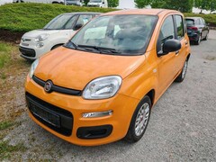 Bild des Angebotes Fiat Panda 1.2 Easy Klima-Radio-ESP-M+S Räder